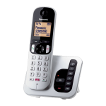 CORDLESS PANASONIC C260JTS SILVER SEGR.