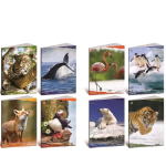 CF10 QUADERNO ANIMALI 100G A4 0C